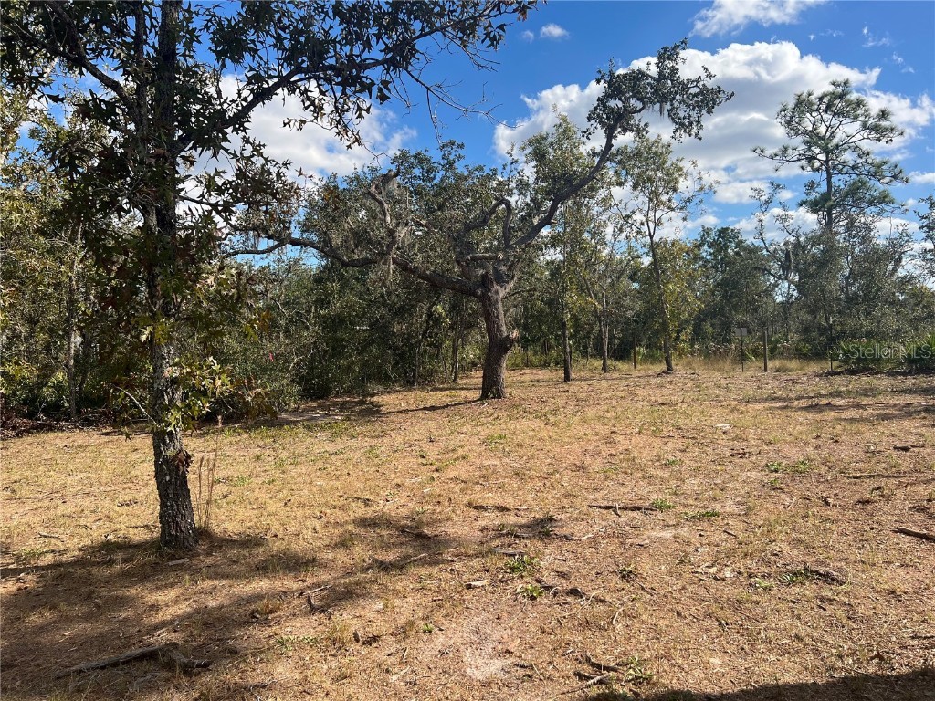 31581 Creek Trail Punta Gorda FL 33982 A4673250 image13