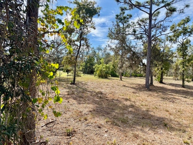 31581 Creek Trail Punta Gorda FL 33982 A4673250 image14