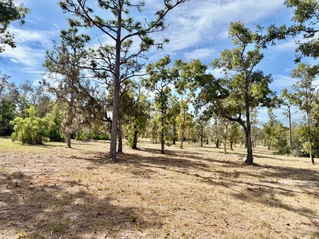 31581 Creek Trail Punta Gorda FL 33982 A4673250 image6