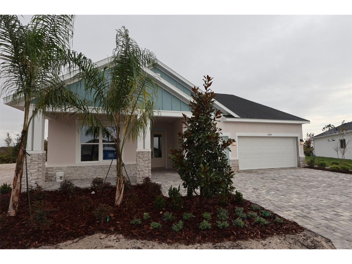 31583 Hayman Loop Wesley Chapel FL 33545 TB8457552 image1