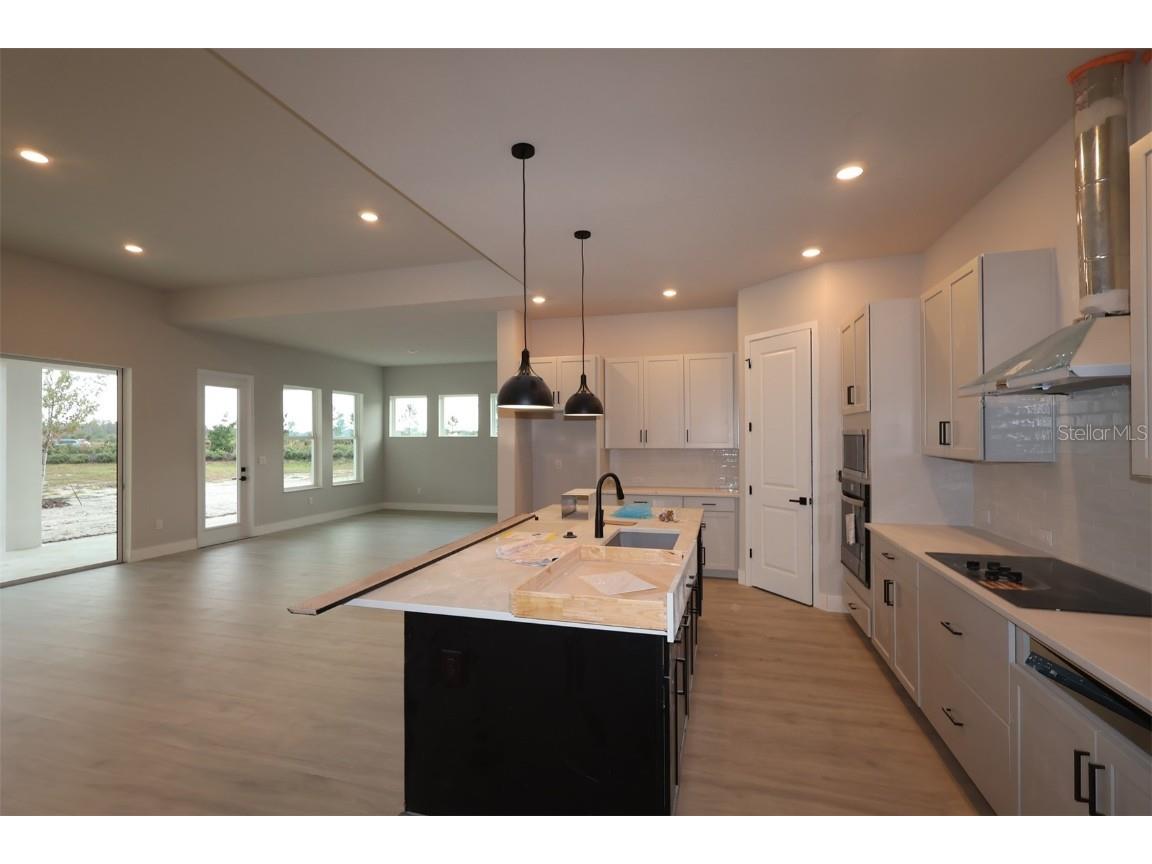 31583 Hayman Loop Wesley Chapel FL 33545 TB8457552 image4