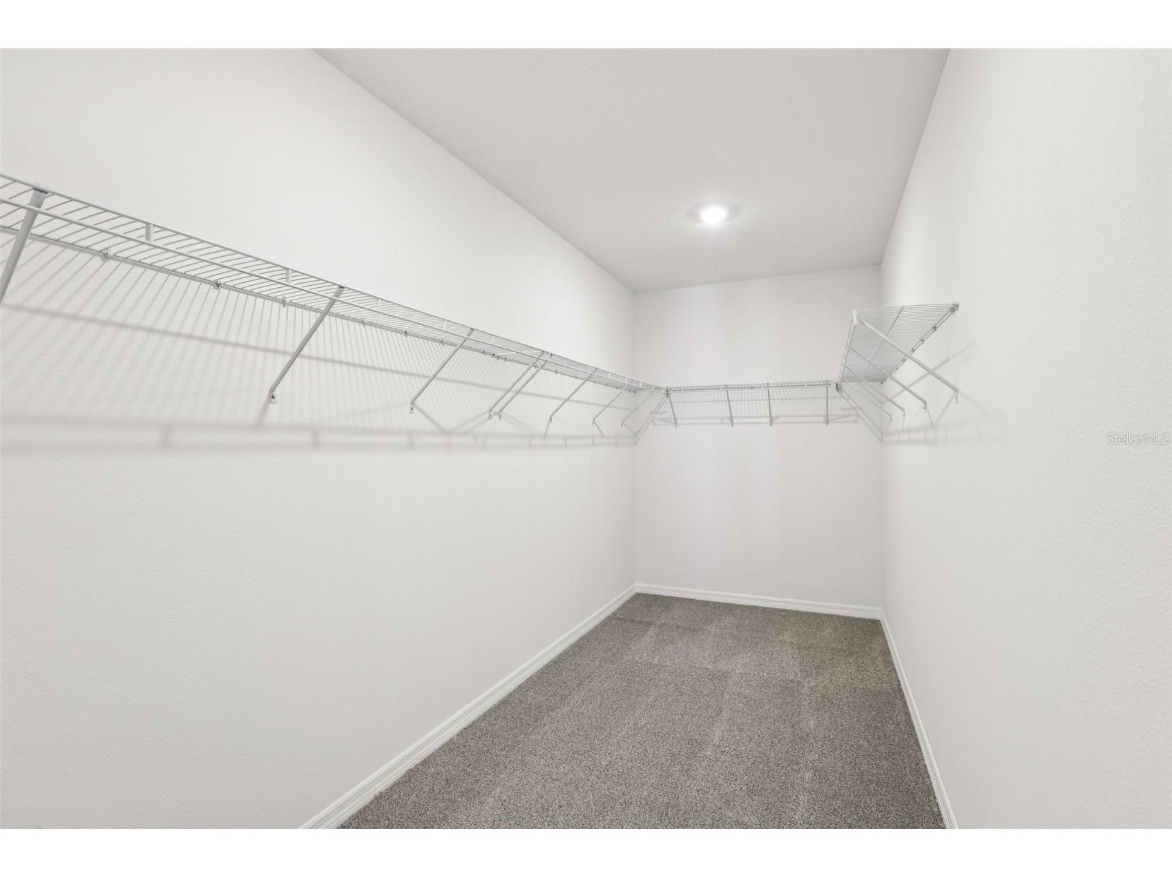 31583 Wild Grape Lane Brooksville FL 34602 O6372024 image27