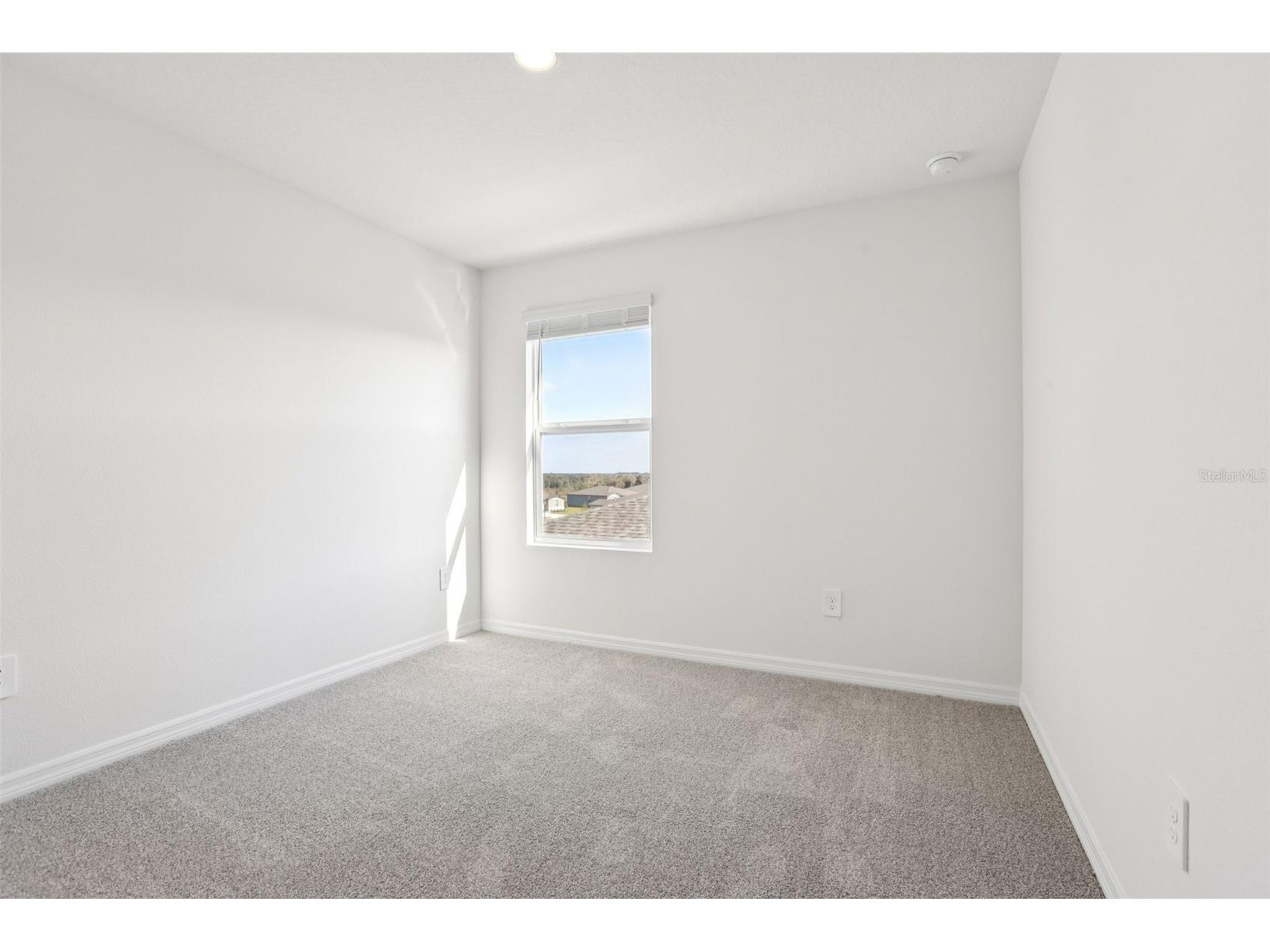 31583 Wild Grape Lane Brooksville FL 34602 O6372024 image38