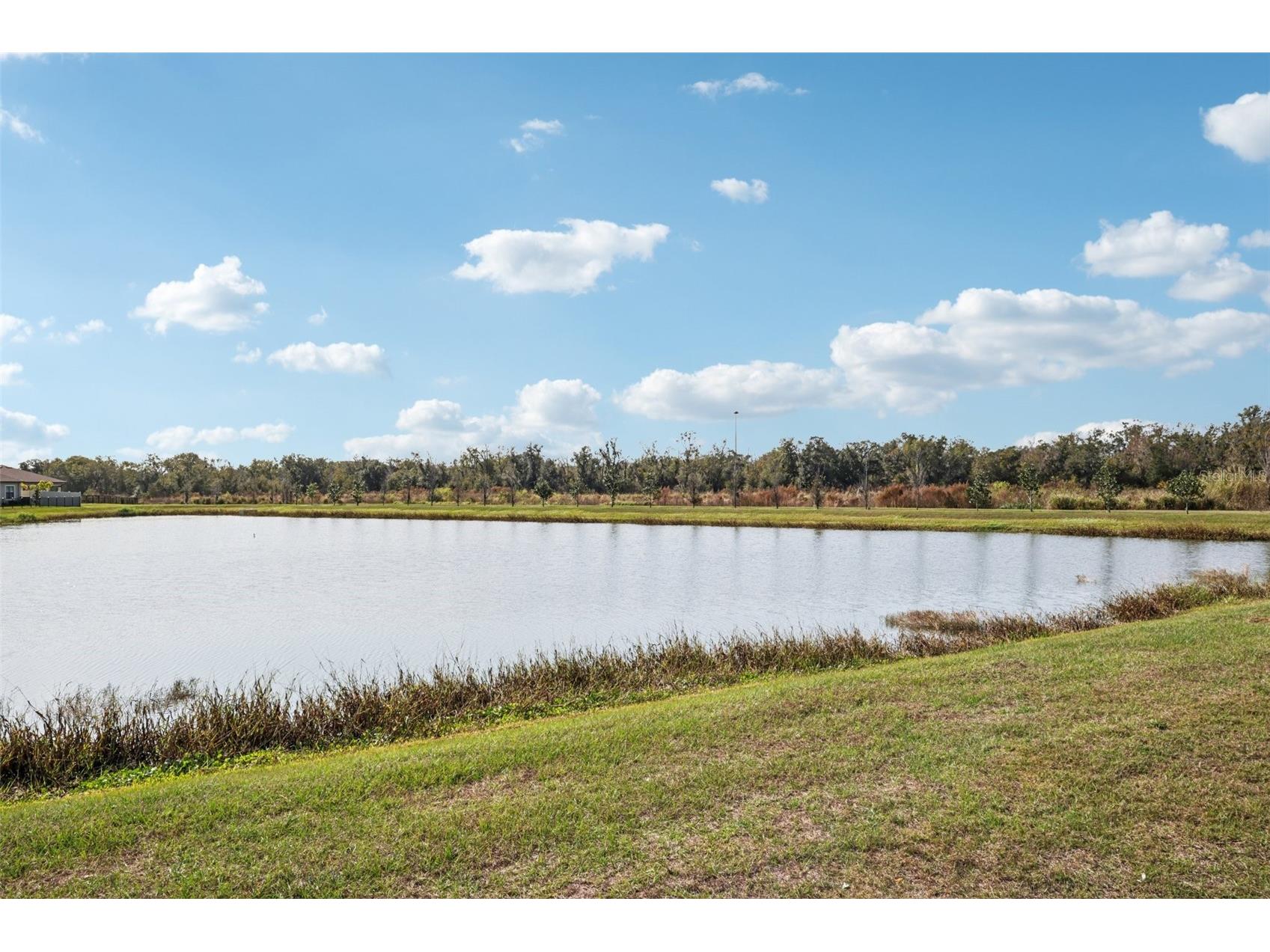 3159 Cup Drive Lakeland FL 33803 O6343610 image28