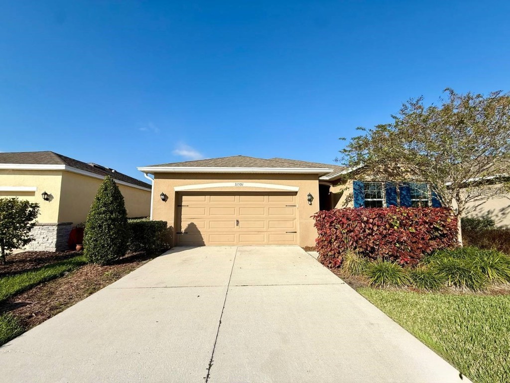 31591 Tansy Bend Wesley Chapel FL 33545 TB8442320 image1