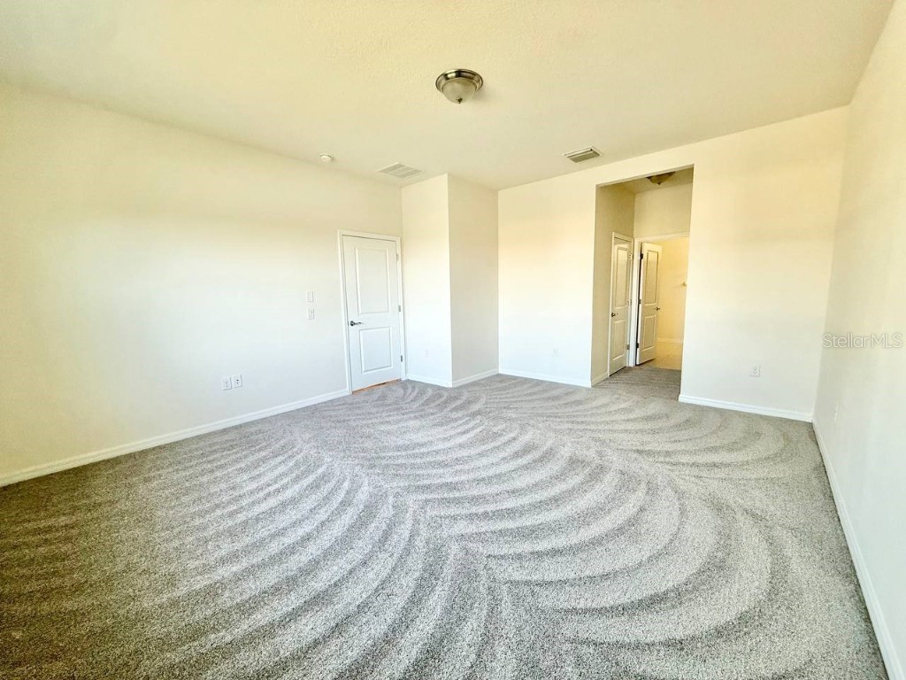 31591 Tansy Bend Wesley Chapel FL 33545 TB8442320 image27