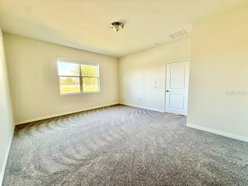 31591 Tansy Bend Wesley Chapel FL 33545 TB8442320 image28