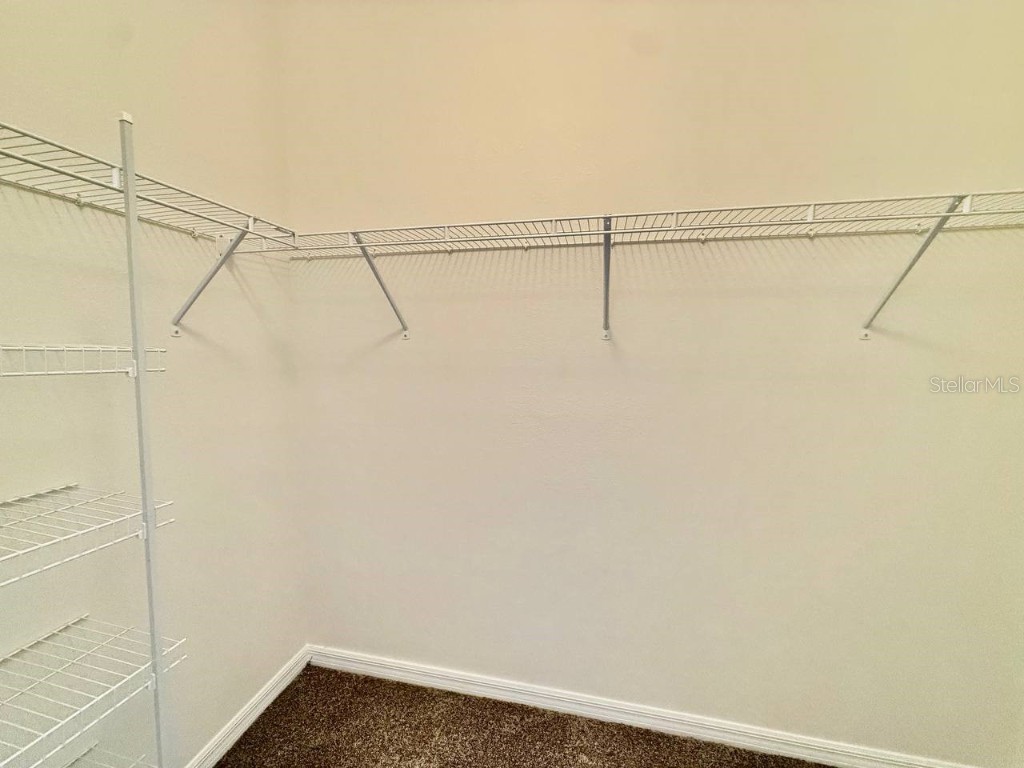 31591 Tansy Bend Wesley Chapel FL 33545 TB8442320 image30