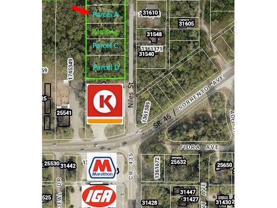 31595 Niles Street Mount Plymouth FL 32776 - WEKIVA RIVER O6401852 image1