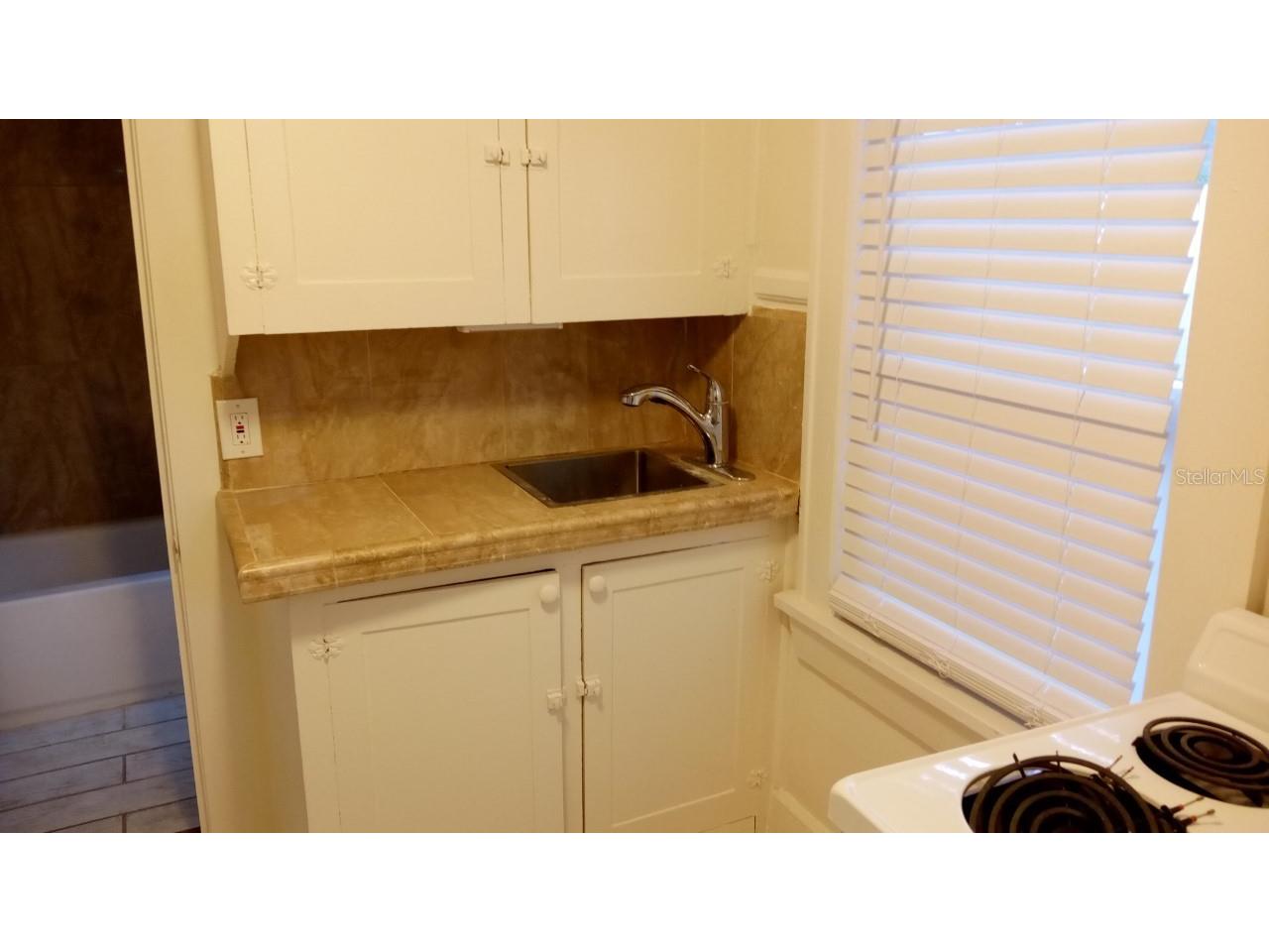 316 11th Avenue Saint Petersburg FL 33701 TB8512351 image6