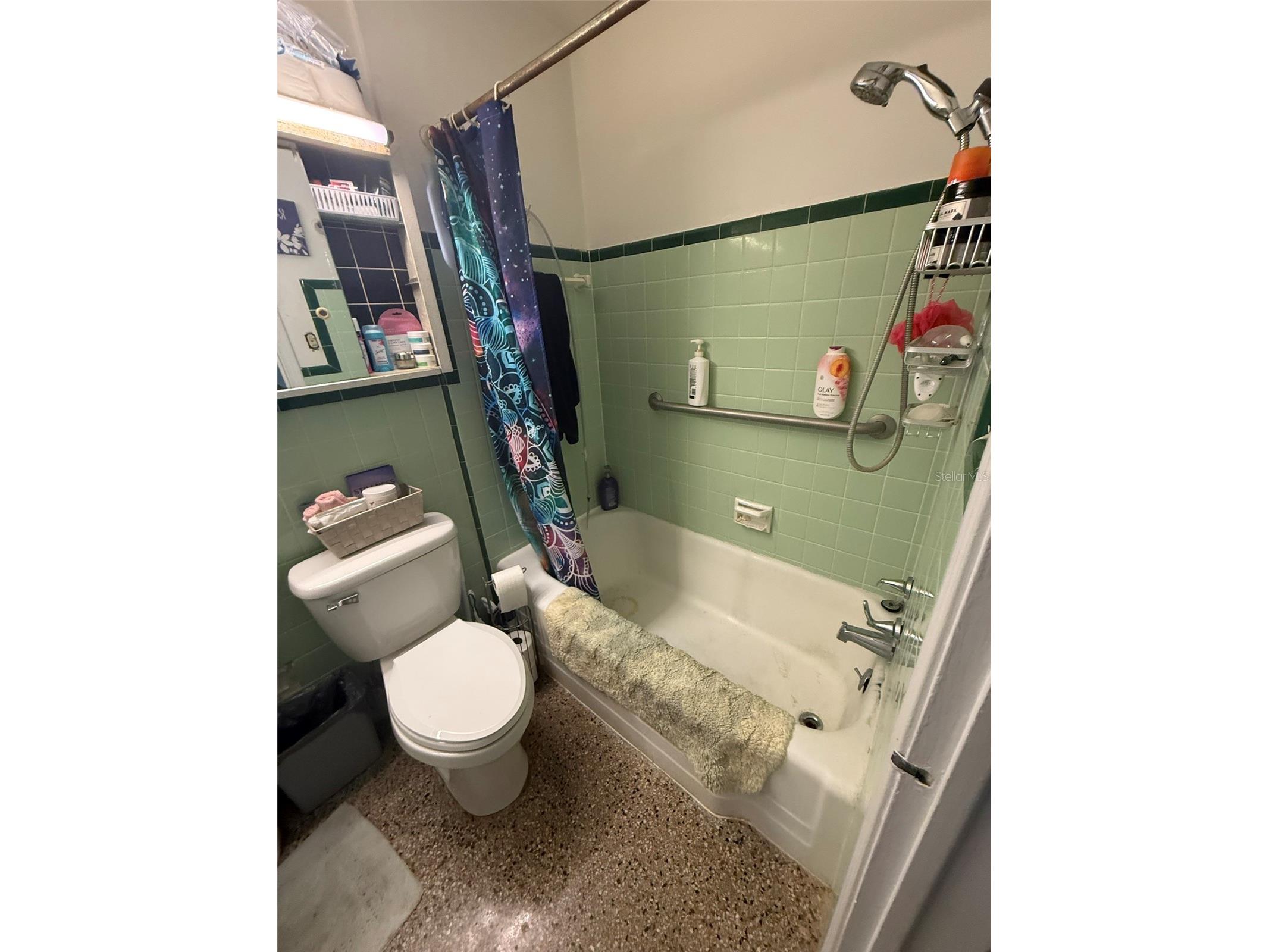 316 76th Avenue Saint Pete Beach FL 33706 TB8523833 image4