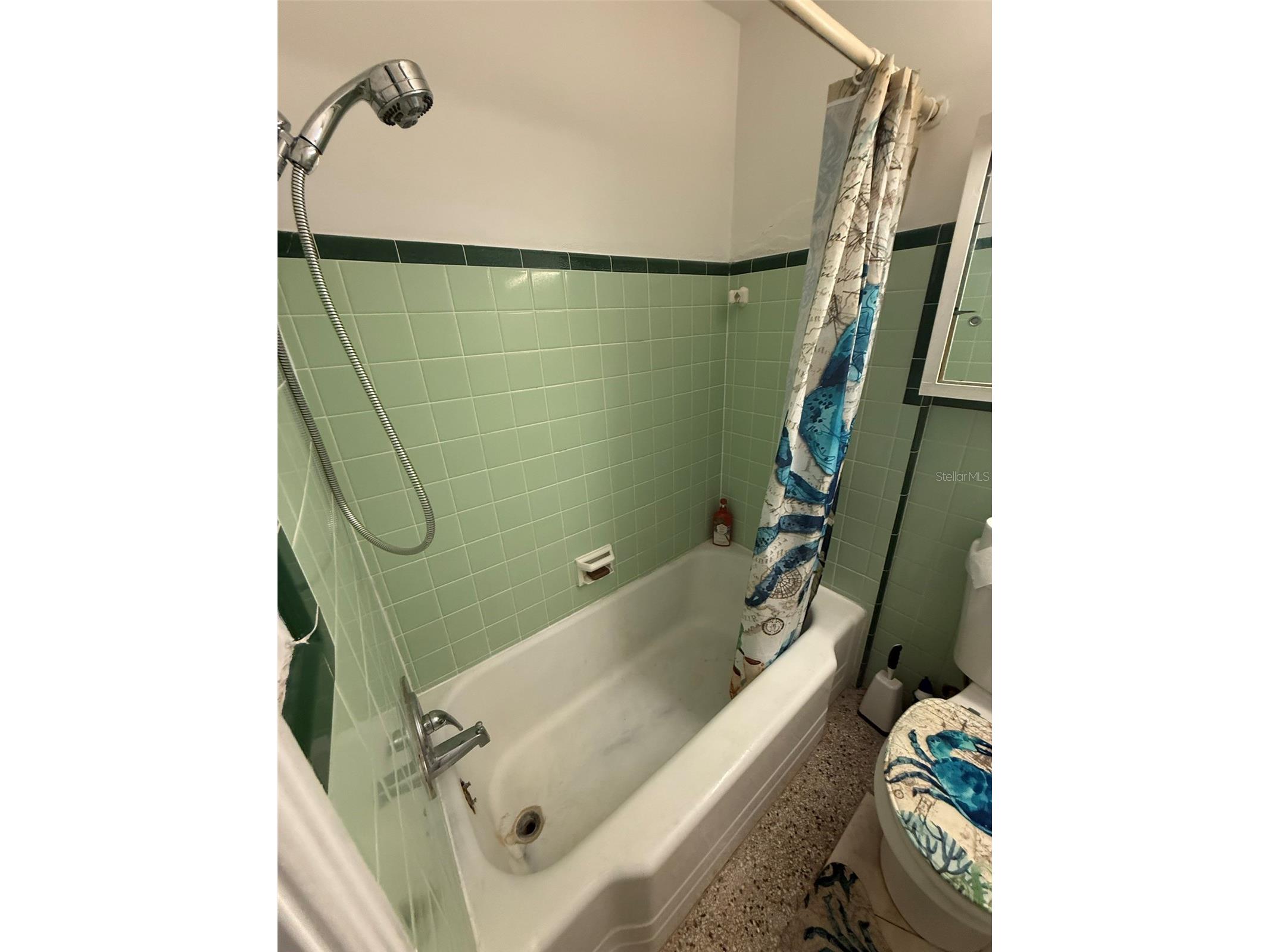 316 76th Avenue Saint Pete Beach FL 33706 TB8523833 image8