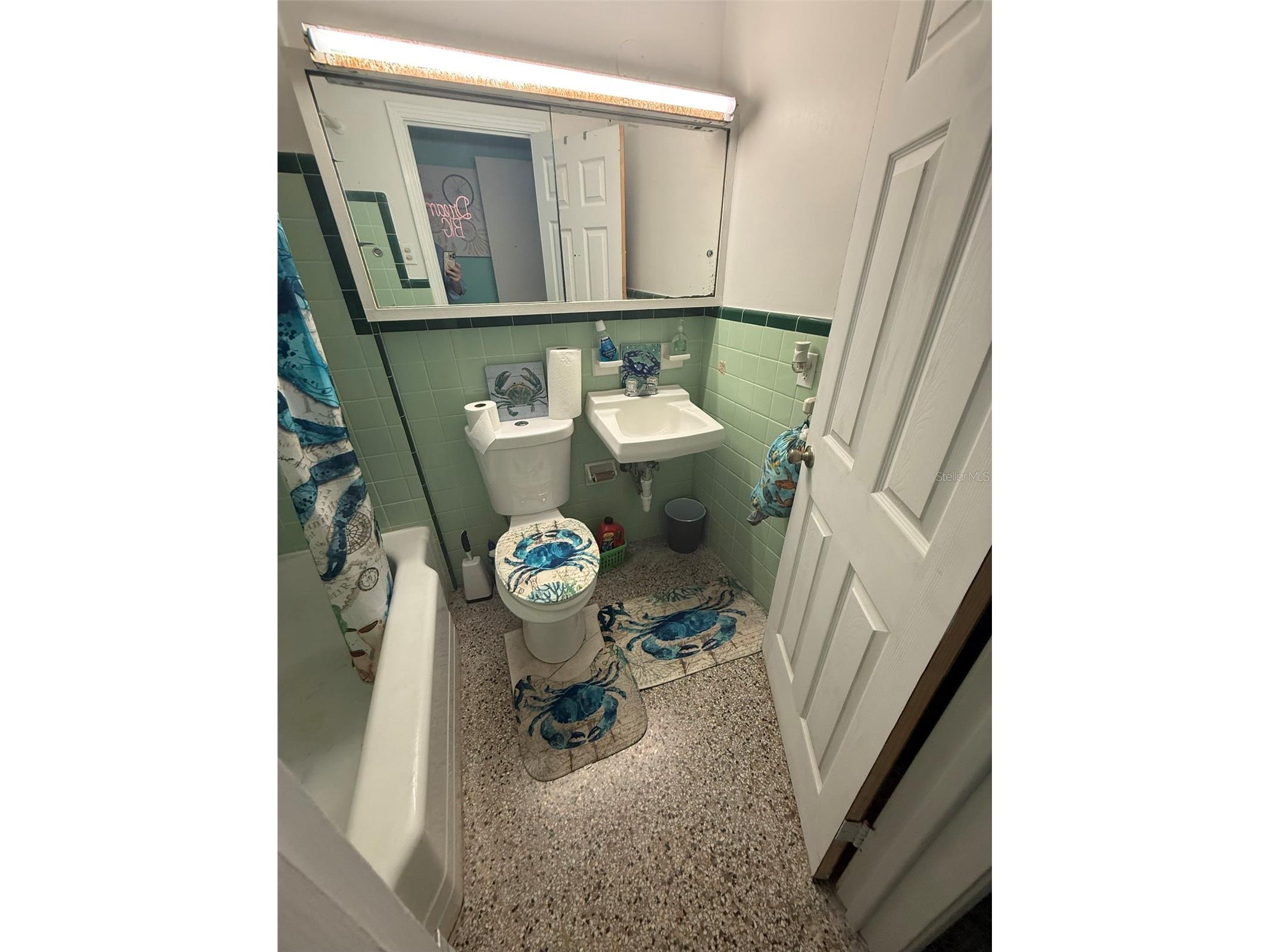316 76th Avenue Saint Pete Beach FL 33706 TB8523833 image9