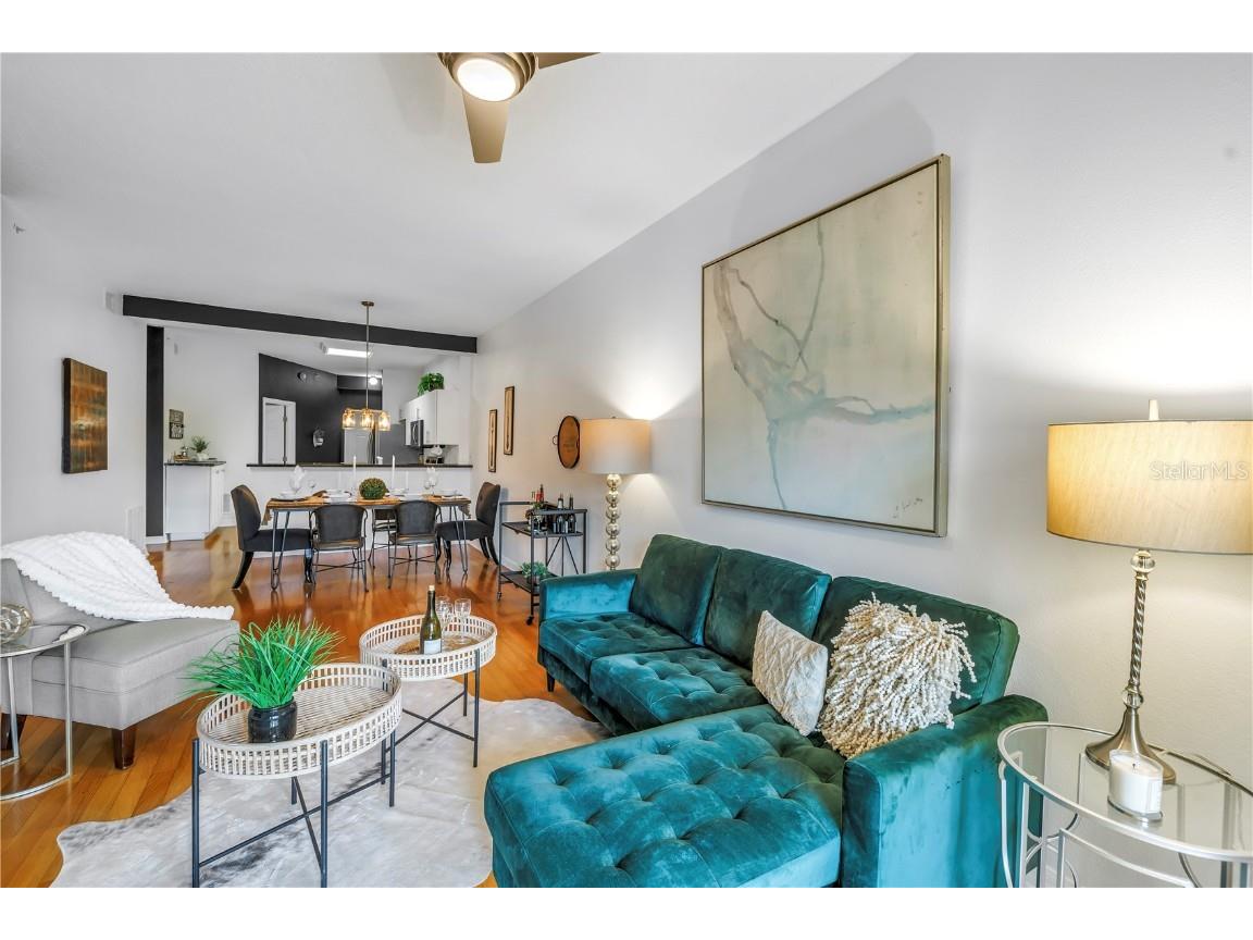 316 8th Street S #204 Saint Petersburg FL 33701 TB8457183 image20