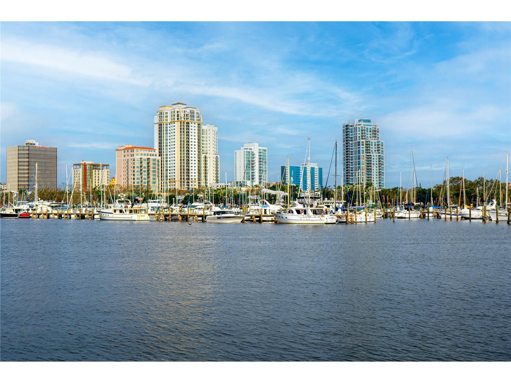 316 8th Street S #402 Saint Petersburg FL 33701 TB8484666 image19