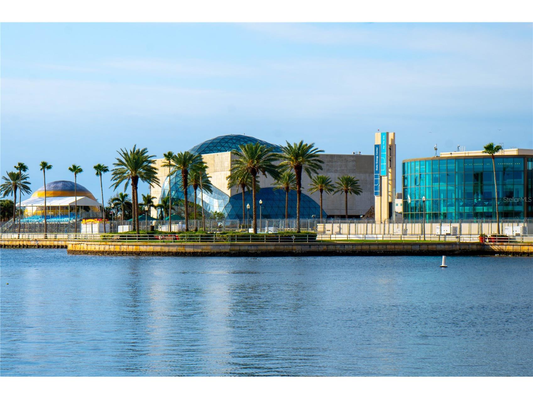 316 8th Street S #402 Saint Petersburg FL 33701 TB8484666 image21