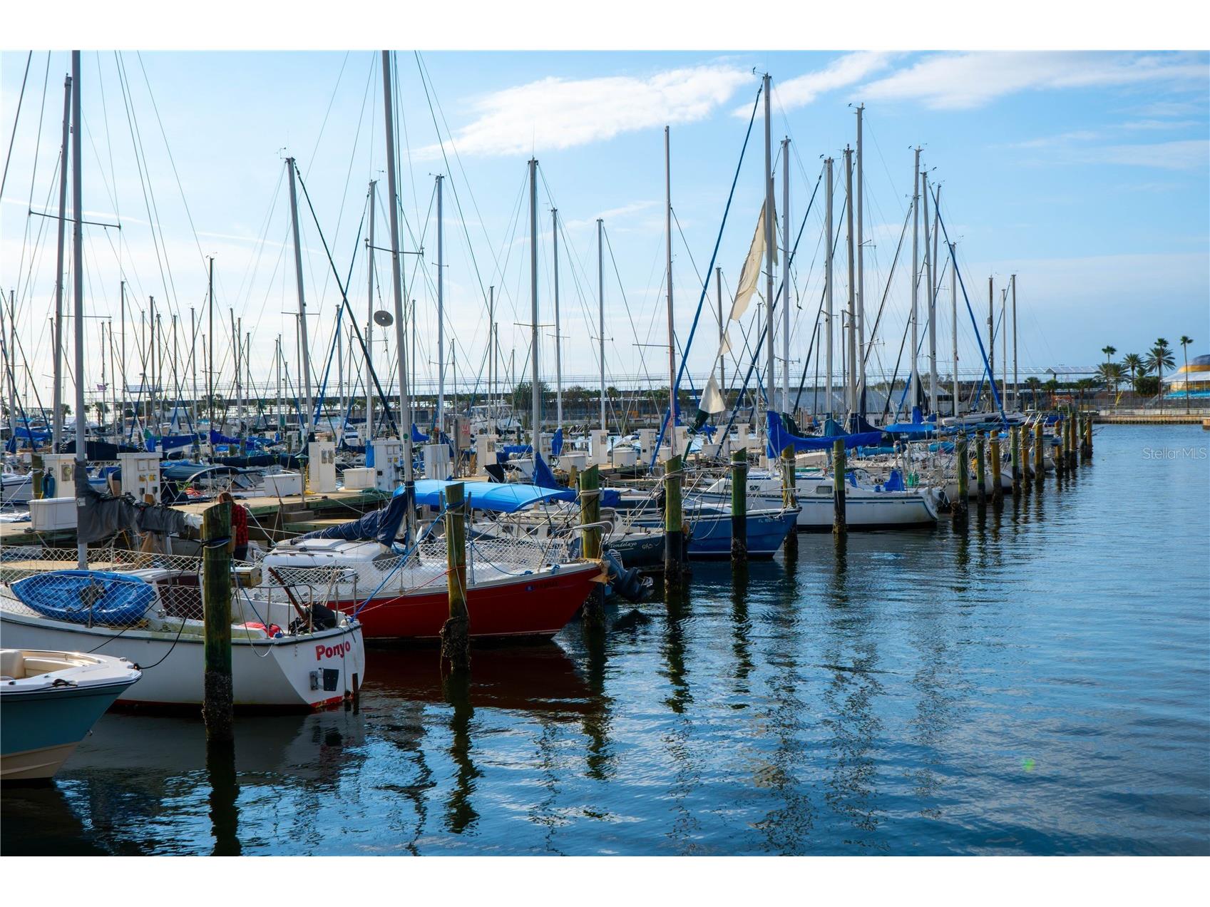 316 8th Street S #402 Saint Petersburg FL 33701 TB8484666 image22