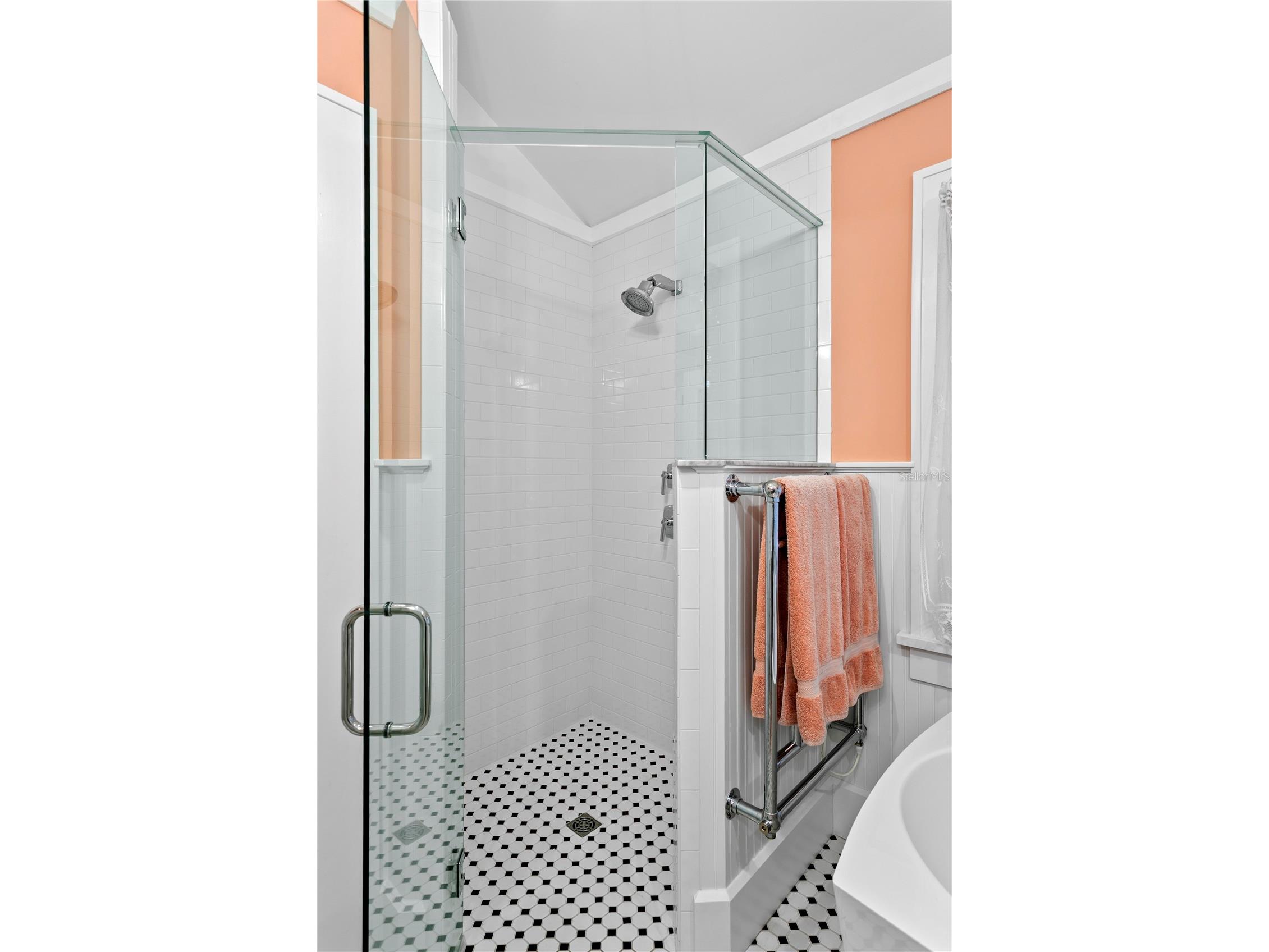 316 9th Avenue NE Saint Petersburg FL 33701 TB8499921 image25