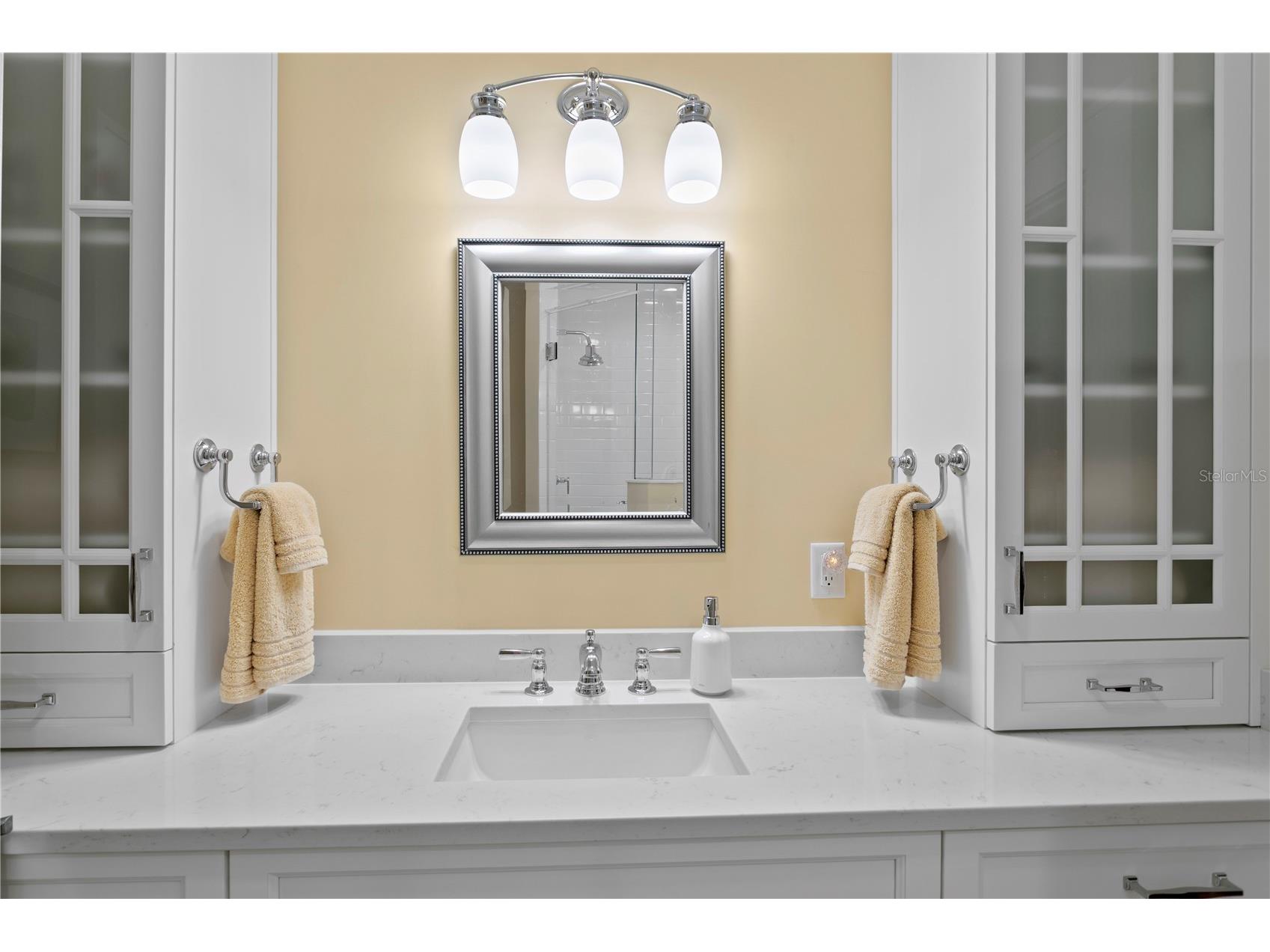 316 9th Avenue NE Saint Petersburg FL 33701 TB8499921 image29