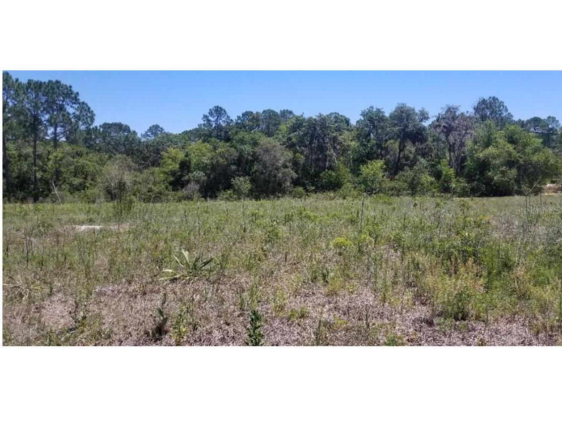 316 Bass Lane Kissimmee FL 34759 S5143130 image1