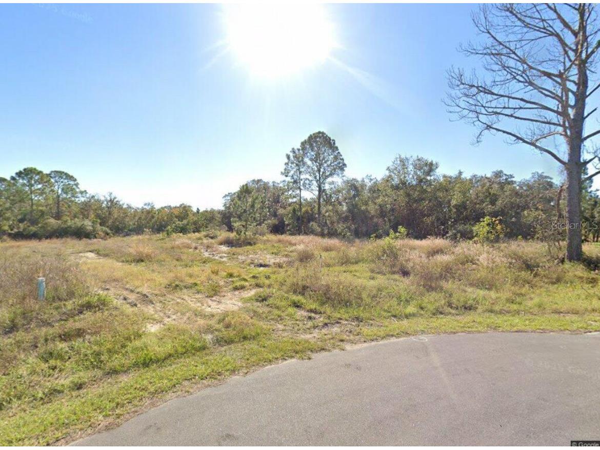 316 Bass Lane Kissimmee FL 34759 S5143130 image2
