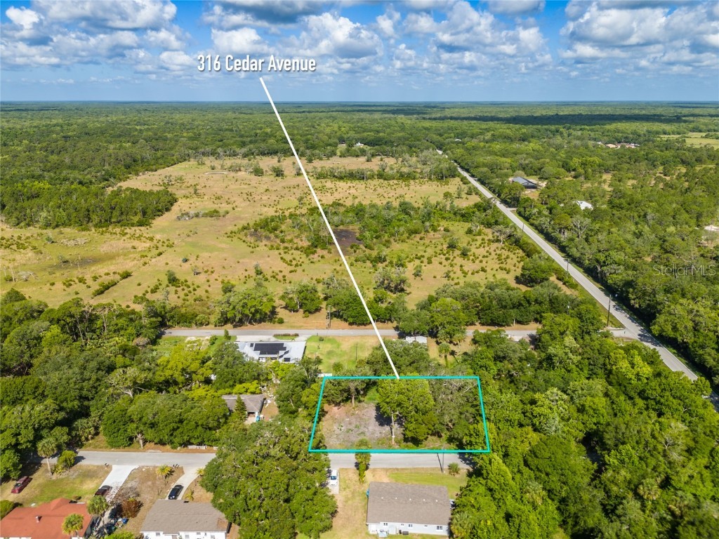 316 Cedar Avenue Oak Hill FL 32759 NS1081734 image1