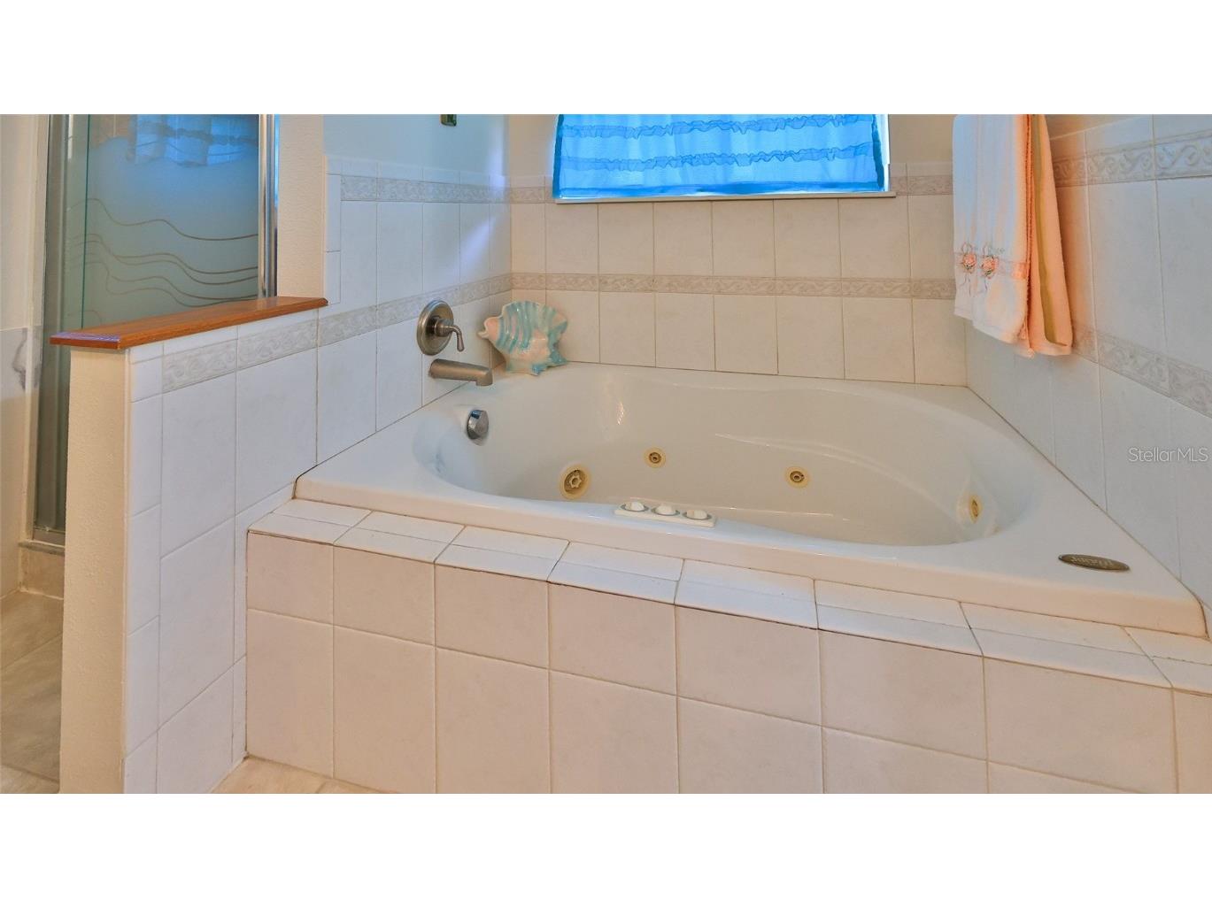 316 Citrus Open Drive New Smyrna Beach FL 32168 NS1084234 image31