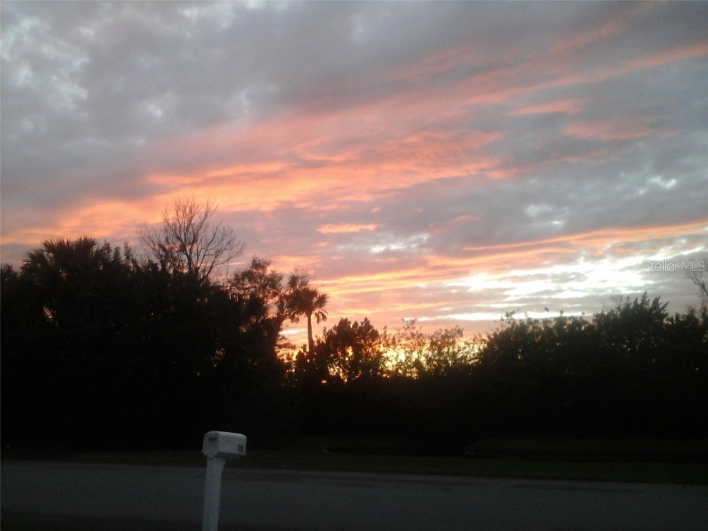 316 Citrus Open Drive New Smyrna Beach FL 32168 NS1084234 image32