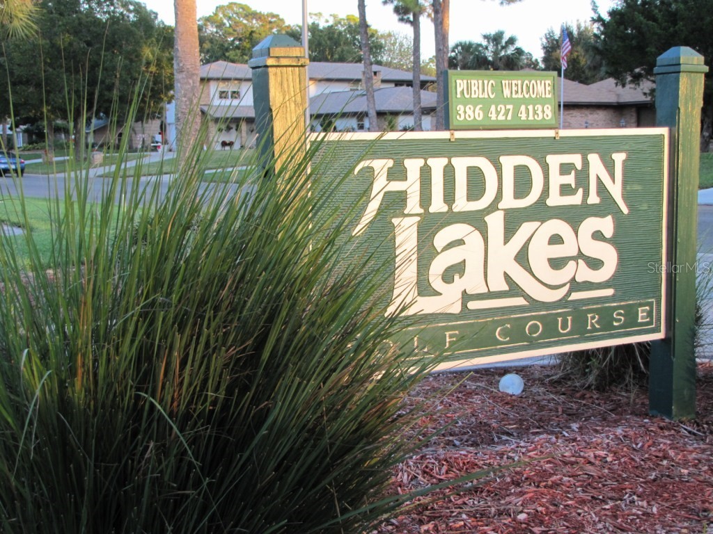 316 Citrus Open Drive New Smyrna Beach FL 32168 NS1084234 image39