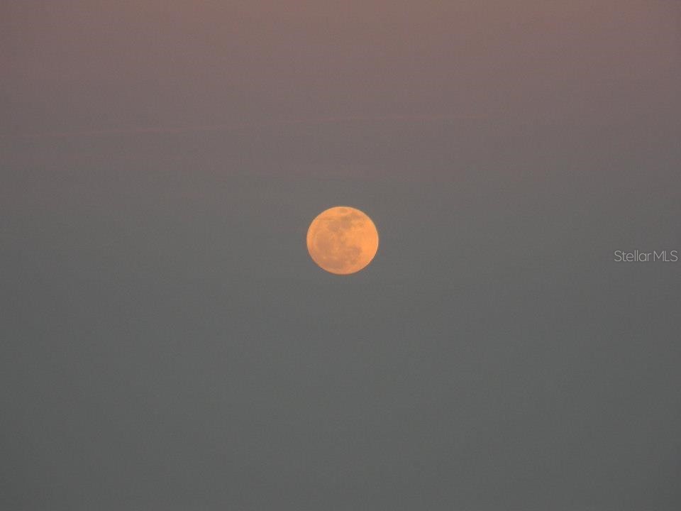 316 Citrus Open Drive New Smyrna Beach FL 32168 NS1084234 image50