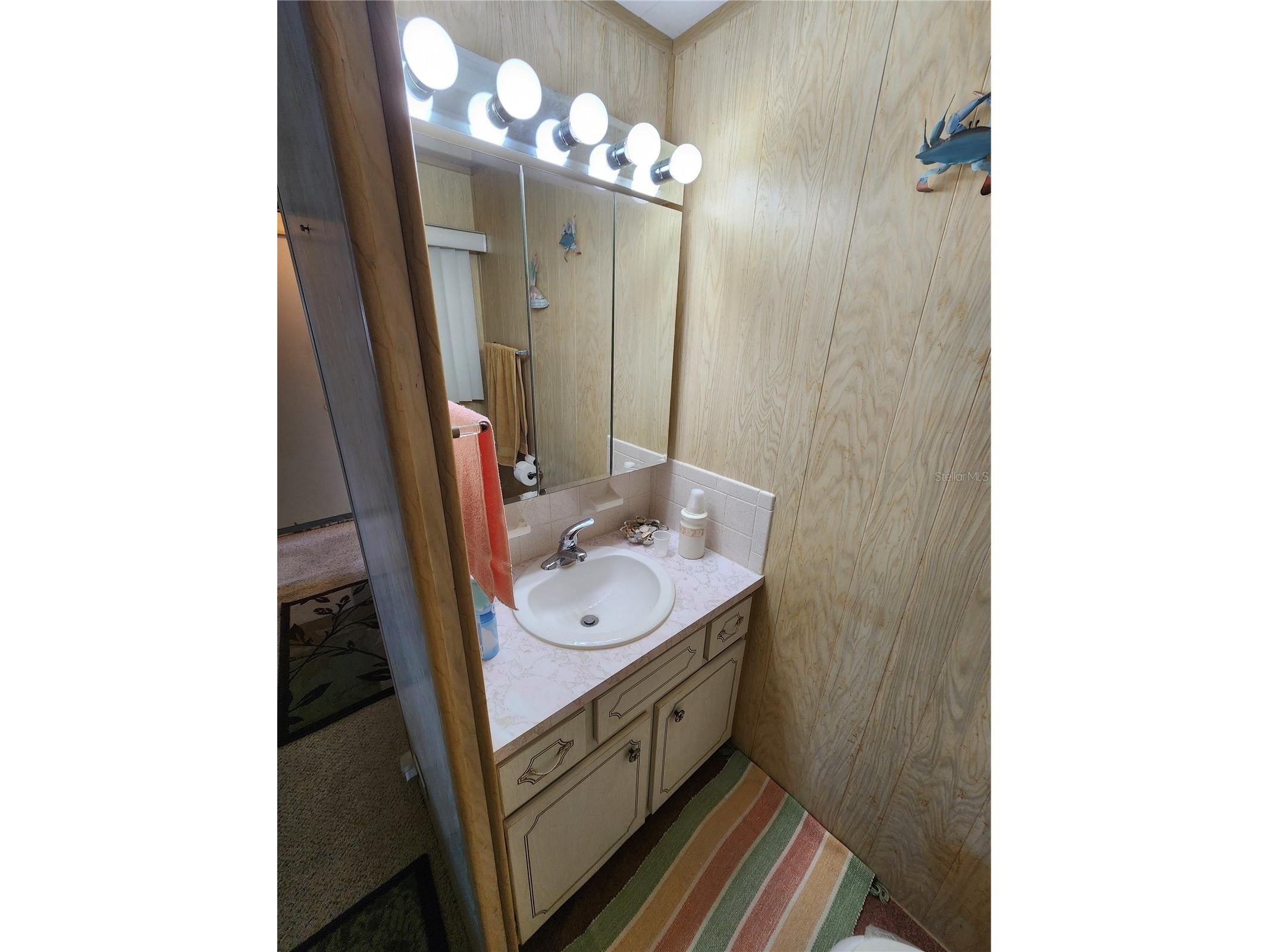 316 Danube Circle Bradenton FL 34207 A4687856 image22
