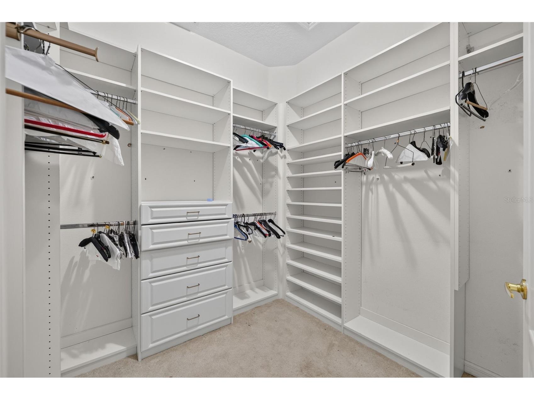 316 Harts Oak Place Seffner FL 33584 TB8525093 image21