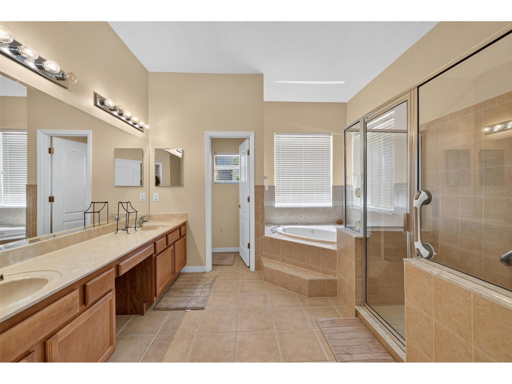 316 Harts Oak Place Seffner FL 33584 TB8525093 image22