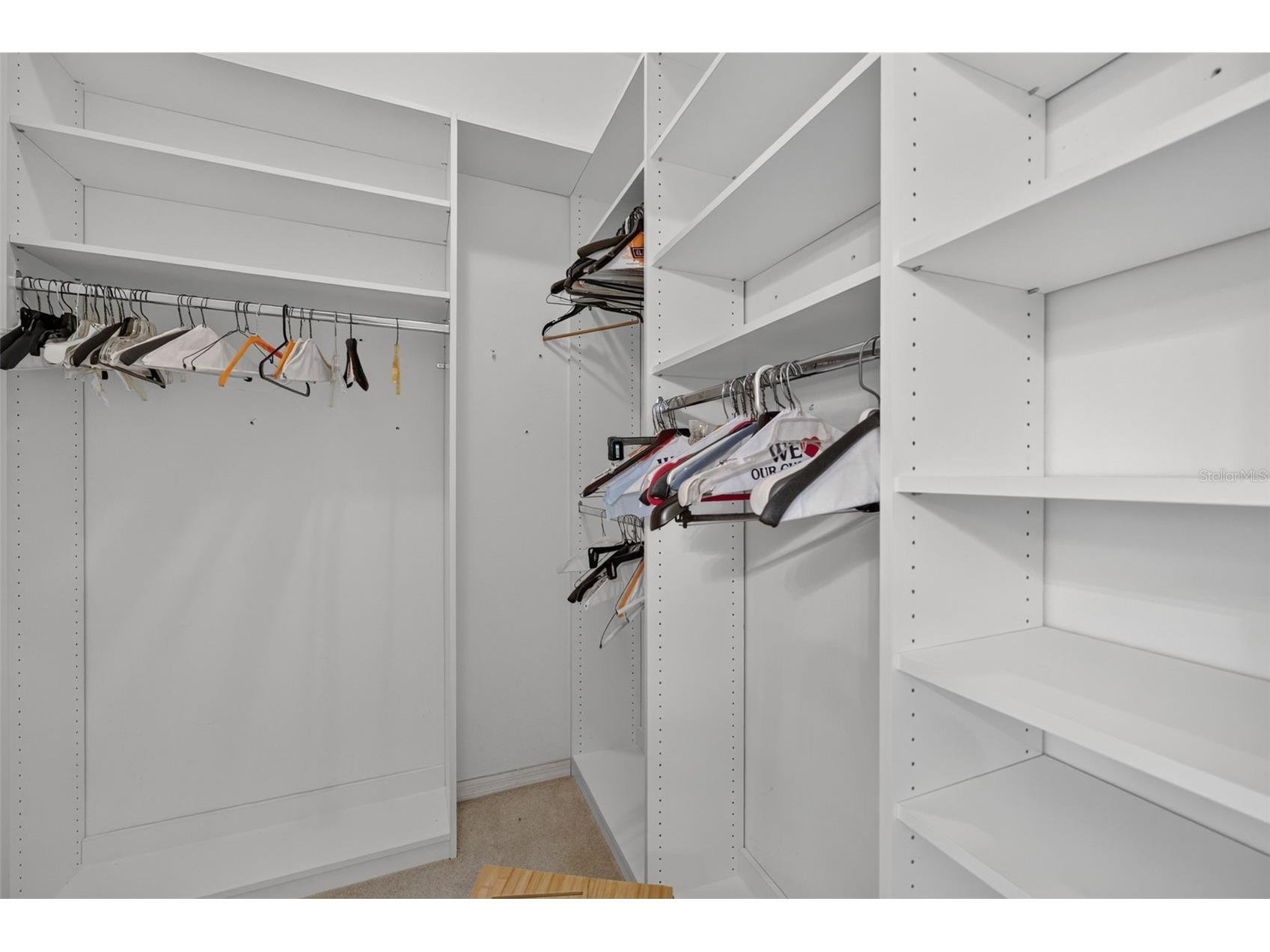 316 Harts Oak Place Seffner FL 33584 TB8525093 image24