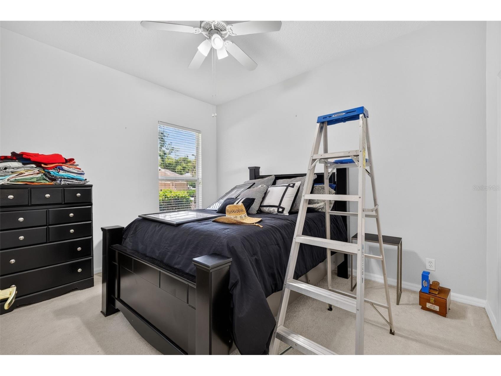 316 Harts Oak Place Seffner FL 33584 TB8525093 image26