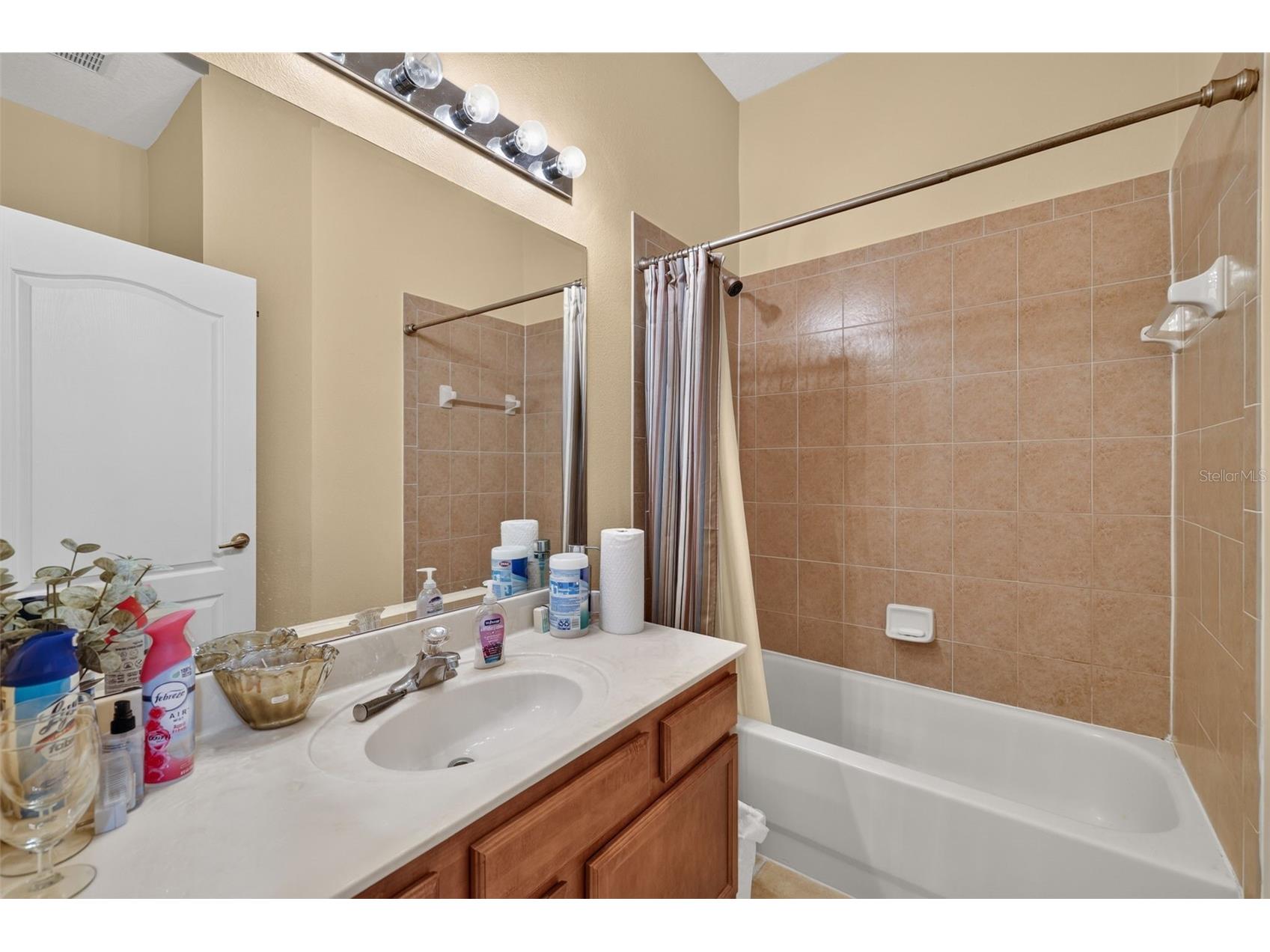 316 Harts Oak Place Seffner FL 33584 TB8525093 image30
