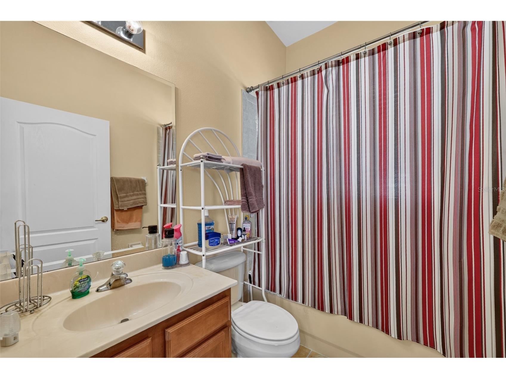 316 Harts Oak Place Seffner FL 33584 TB8525093 image34