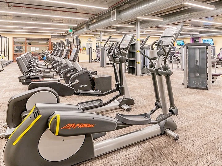 316 Kelsey Way #316 Sun City Center FL 33573 TB8403563 image25