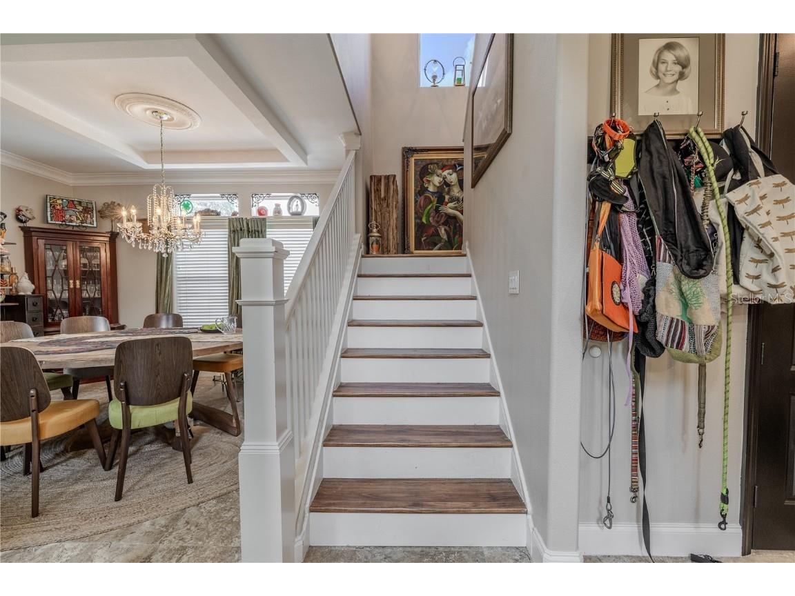 316 Lafayette Boulevard Oldsmar FL 34677 TB8386548 image25