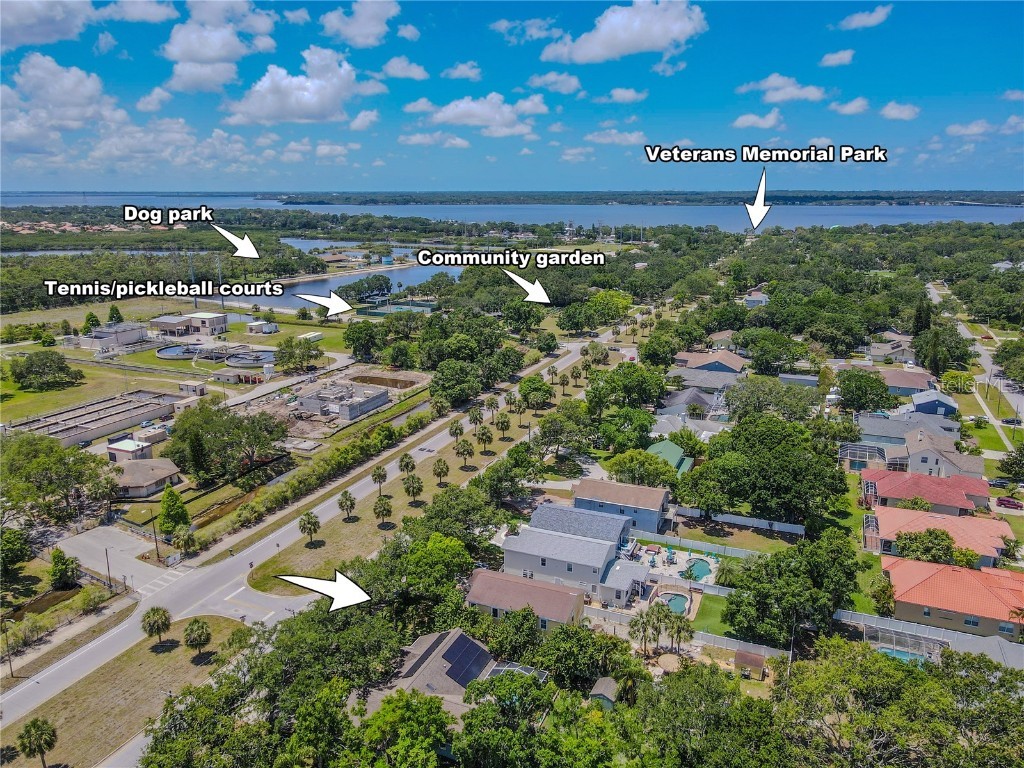 316 Lafayette Boulevard Oldsmar FL 34677 TB8386548 image7