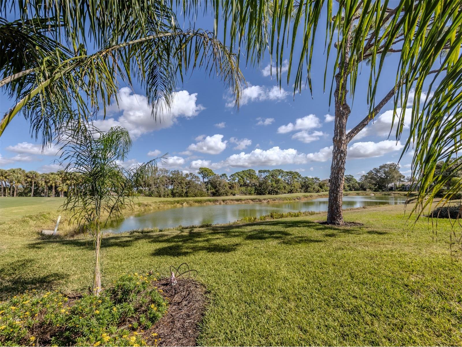 316 Lansbrook Drive Venice FL 34292 N6143062 image27