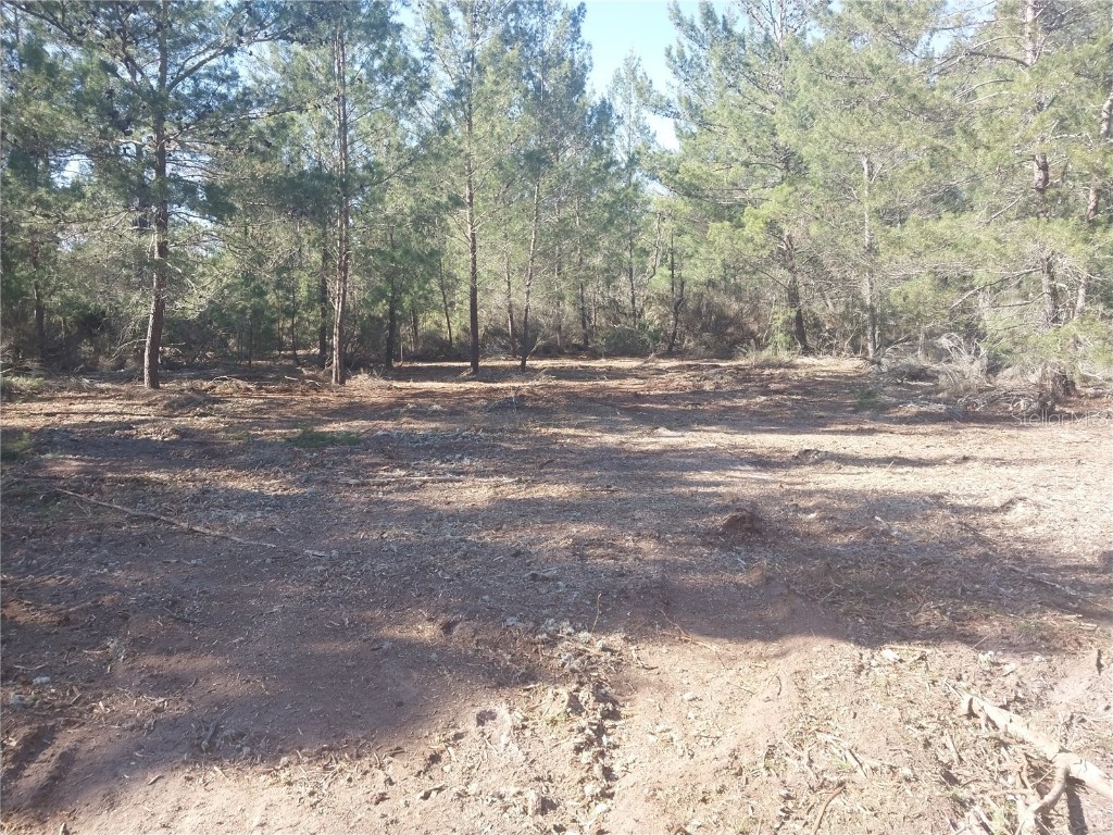 316 Lily Trail Interlachen FL 32148 OK223495 image1