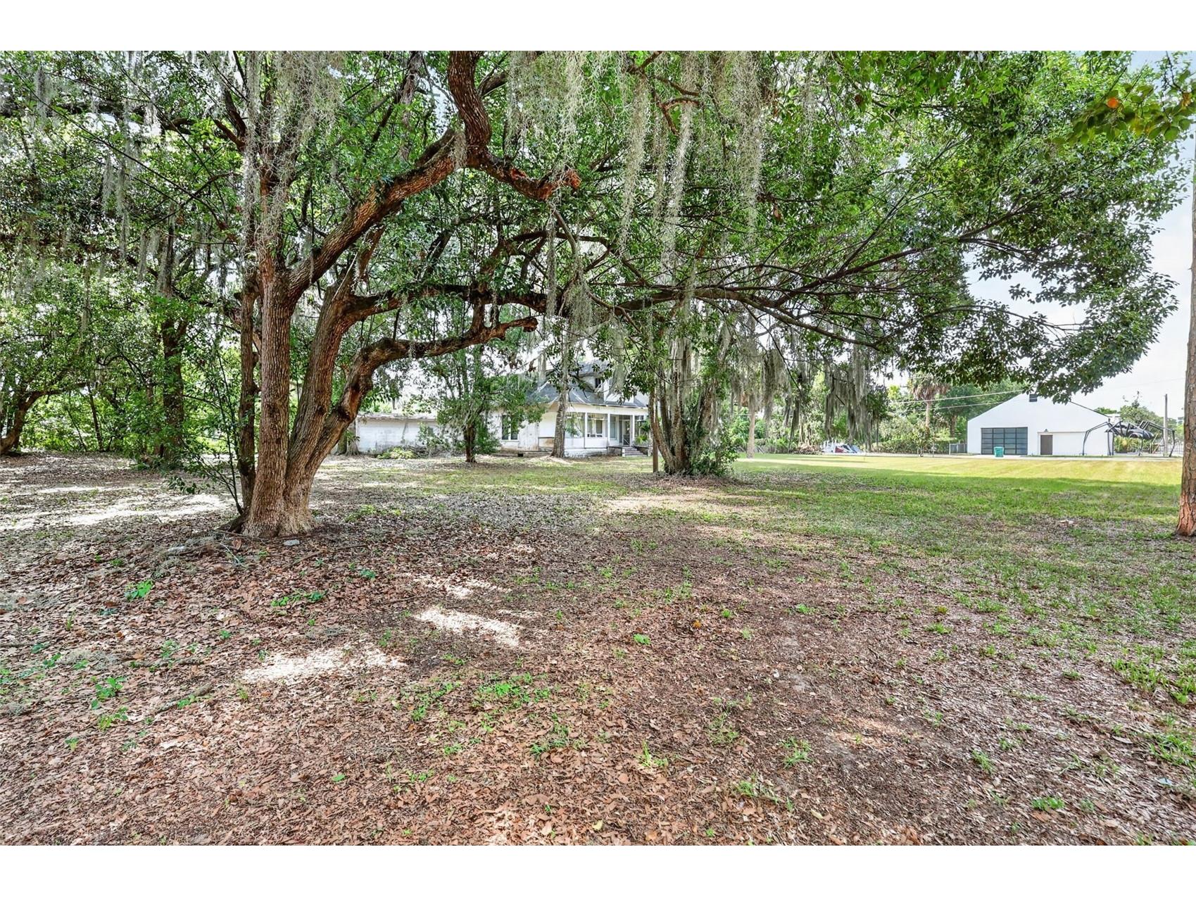 316 N Highland Street Mount Dora FL 32757 G5114820 image8