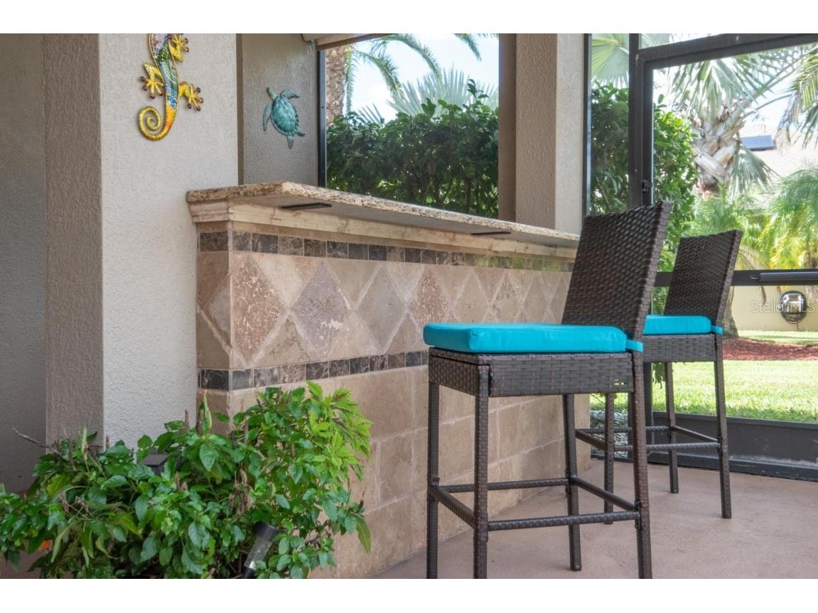 316 Royal Bonnet Drive Apollo Beach FL 33572 TB8440353 image37