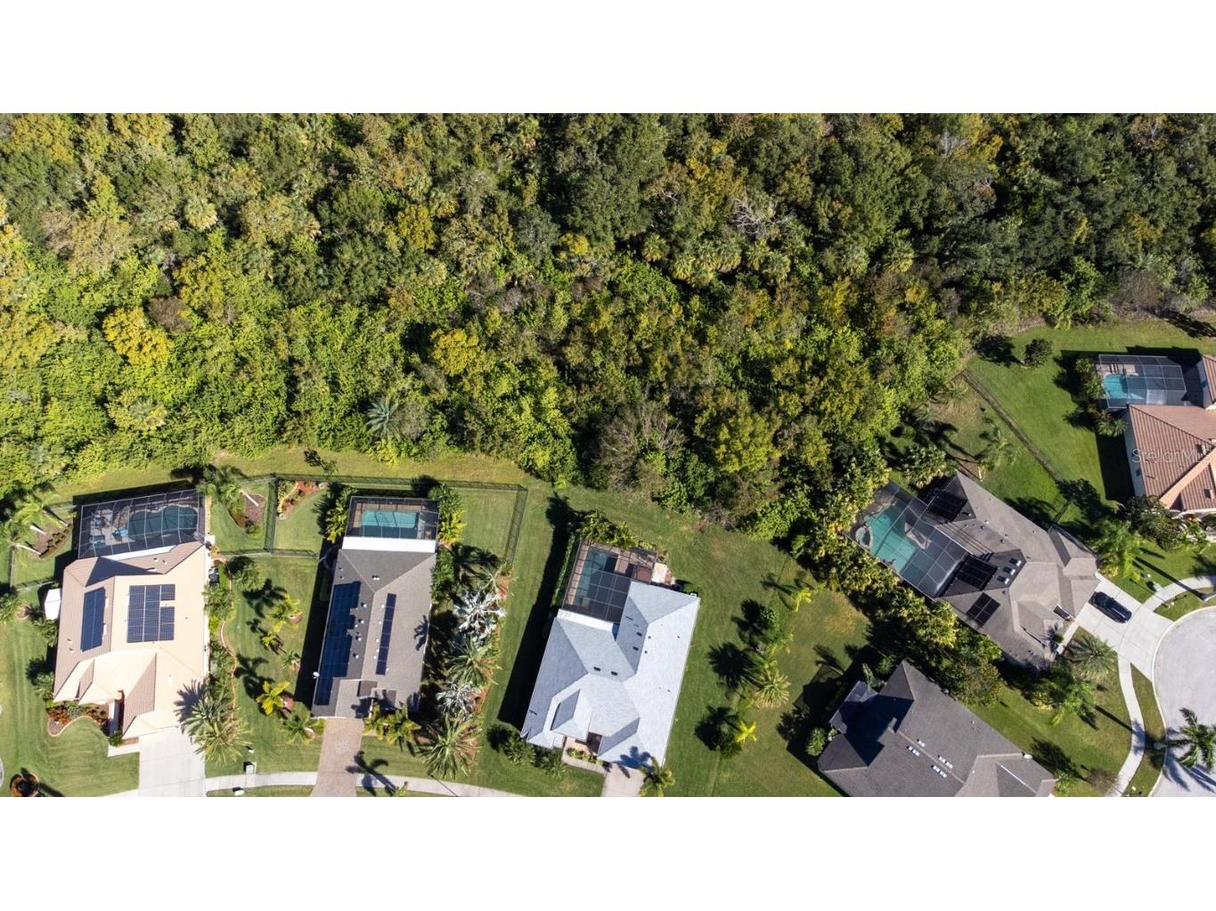 316 Royal Bonnet Drive Apollo Beach FL 33572 TB8440353 image52