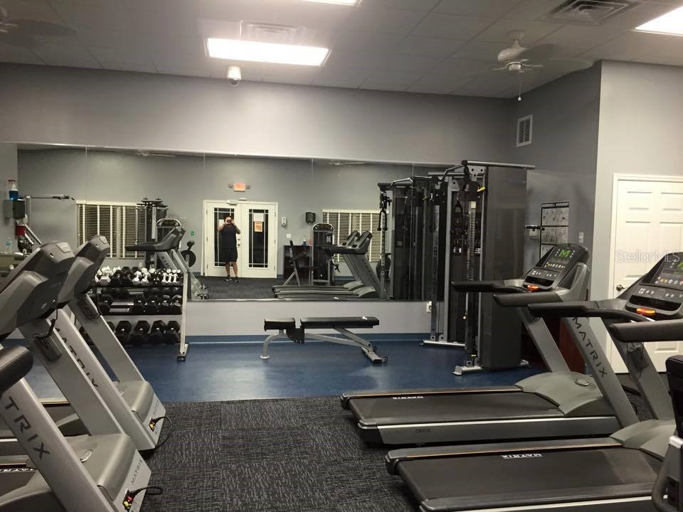 316 Royal Bonnet Drive Apollo Beach FL 33572 TB8440353 image59