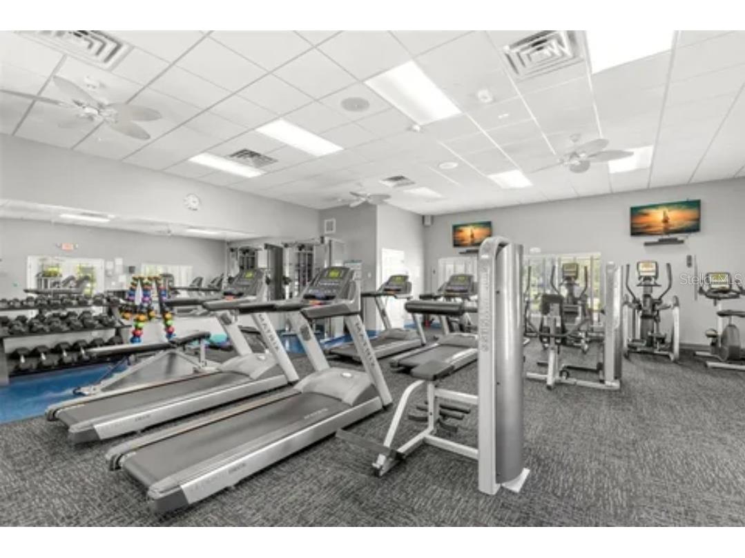 316 Royal Bonnet Drive Apollo Beach FL 33572 TB8440353 image60