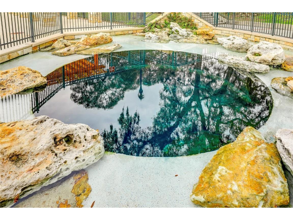 316 S Cypress Avenue Green Cove Springs FL 32043 FC311972 image40