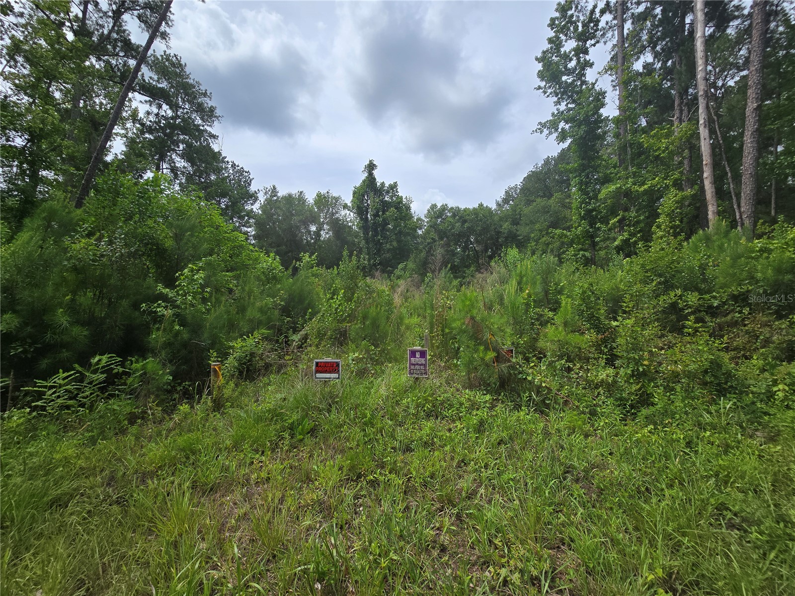 316 Sequoia Drive Ocklawaha FL 32179 OM726215 image1