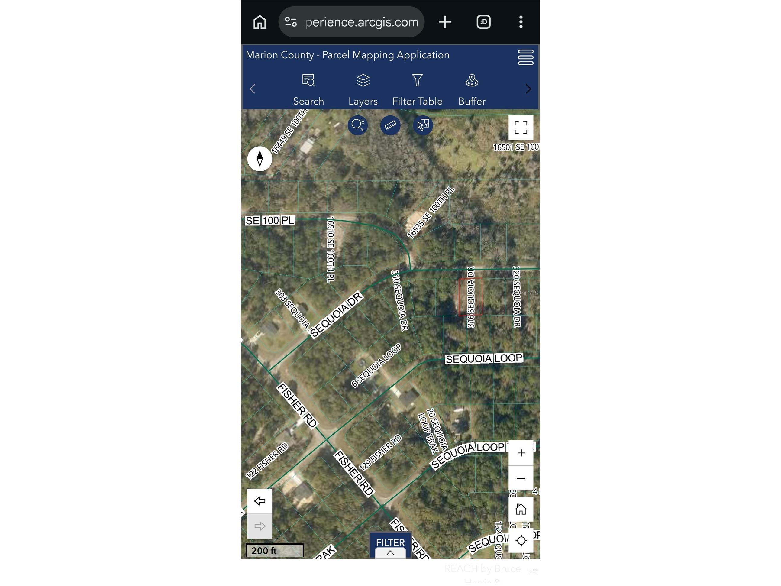 316 Sequoia Drive Ocklawaha FL 32179 OM726215 image4